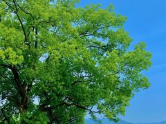 -东钱湖旅游度假区