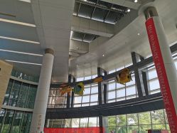 -天津市儿童医院(北辰龙岩院区)