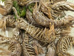 椒盐濑尿虾-贞姨美食·老字号海鲜大排档