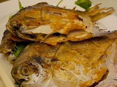 -黄埔华苑酒家(黄埔店)