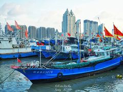 -沈家门渔港