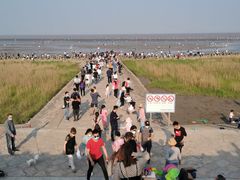 -南汇嘴观海公园