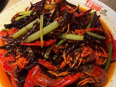 -红盔甲·小龙虾(车公庙店)