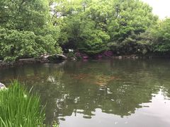 -西湖外事游船(花港观鱼码头)