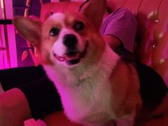 -好声音KTV(胜利南路店)