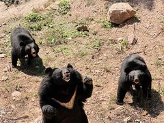 -大连森林动物园