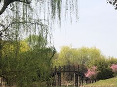 -梁鸿国家湿地公园