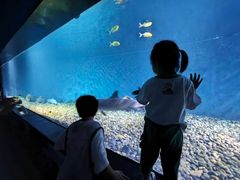 -海合安武汉极地海洋公园