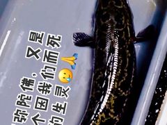 -百岁我家·酸菜鱼专门店(塘下店)