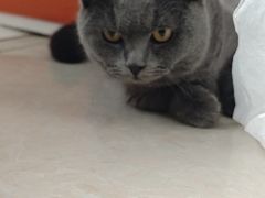 -必胜客(磁器口店)