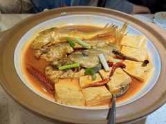 -船歌·鱼水饺青岛菜(金狮广场店)