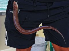 -日照世帆赛基地