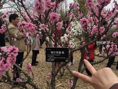 -上海植物园-4号门售票处