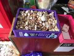 -小龙大肉面馆