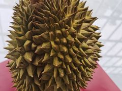 -厦门大西洋天虹百货商场