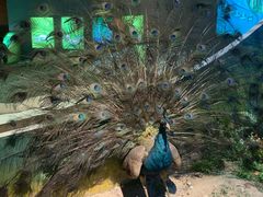 -陕西自然博物馆