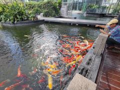 -前海华侨城JW万豪酒店·都会尚膳自助餐厅·牛排海鲜酒水畅飨