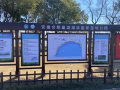 -合肥滨湖国家森林公园