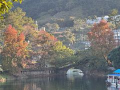 -广州市流溪河国家森林公园