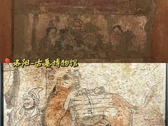 -洛阳古墓博物馆