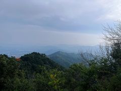 -晨汐石苑·清真菜农家院