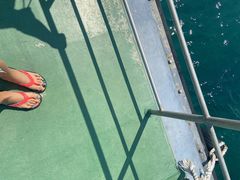 -亚龙湾海底世界