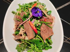 -秀儿四九城·新京菜(亚运村鸟巢店)