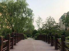 -上海崇明金茂凯悦酒店