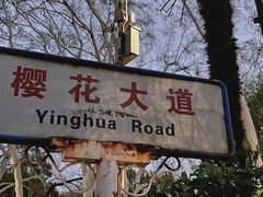 -武汉大学-樱园