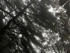 -罗田薄刀峰风景区