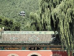 -晋祠公园