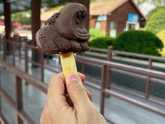 -上海野生动物园老虎餐厅