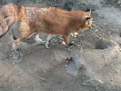 -无锡动物园·太湖欢乐园