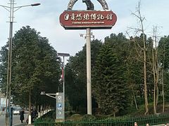 -自贡恐龙博物馆