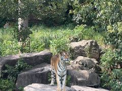 -宁波野生动物园