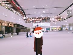 -TheRink大零溜冰场(IFS国金中心店)