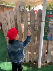 -萌宠亲子动物乐园(槐房万达店)