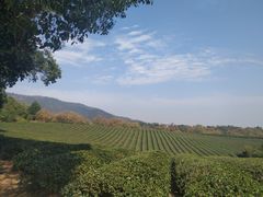 -敬亭山风景名胜区