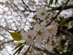 -上海望仙安息园