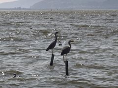 -滇池海埂公园