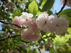 -陈家山荷花公园