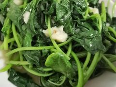 炝炒南瓜尖-食神又名厕所兔