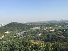 -上海佘山国家森林公园西佘山园