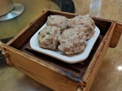 手打爽口猪肉丸-喜运来酒楼(江南大道店)