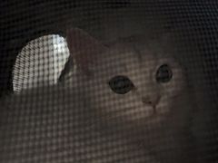 -爱侣宠医·鹦鹉专科·小型哺乳类·异宠专科(灵石路店)