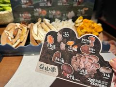 -芸山季·云南山珍菌火锅(人民广场来福士店)