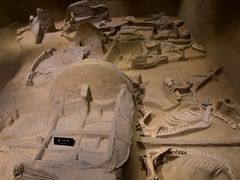 -洛阳周王城天子驾六博物馆