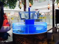 -佬麻雀·剁椒鱼头(京基KK One店)