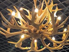 -鹿园 MOOSE(长宁店)