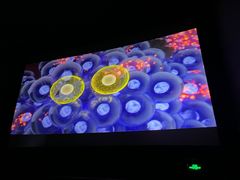 -CGV星星影城(颐堤港ScreenX店)